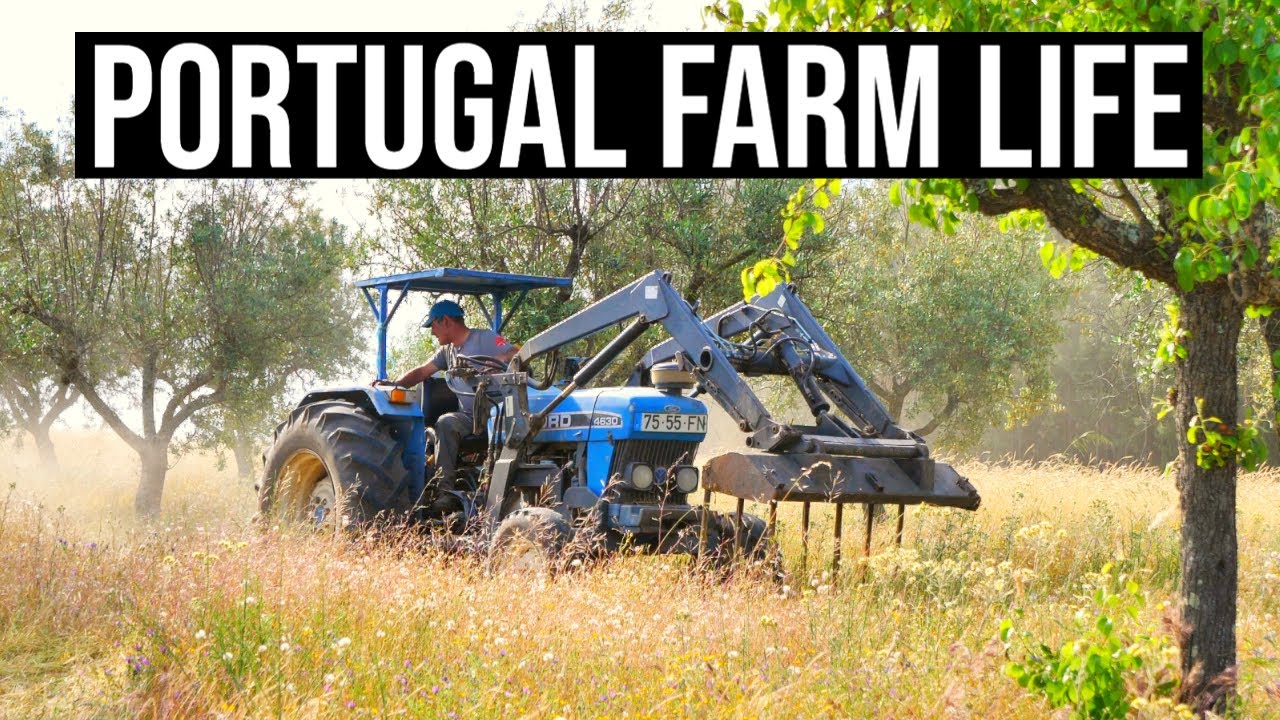 It's hard to say Goodbye! | PORTUGAL FARM LIFE