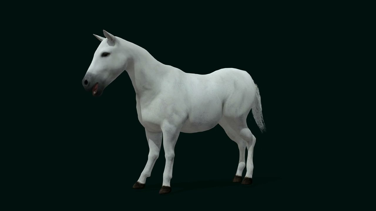 Mule  Domestic Equine Hybrid #animals #nyilonelycompany #wildlife #nature #mule #donkey #horse