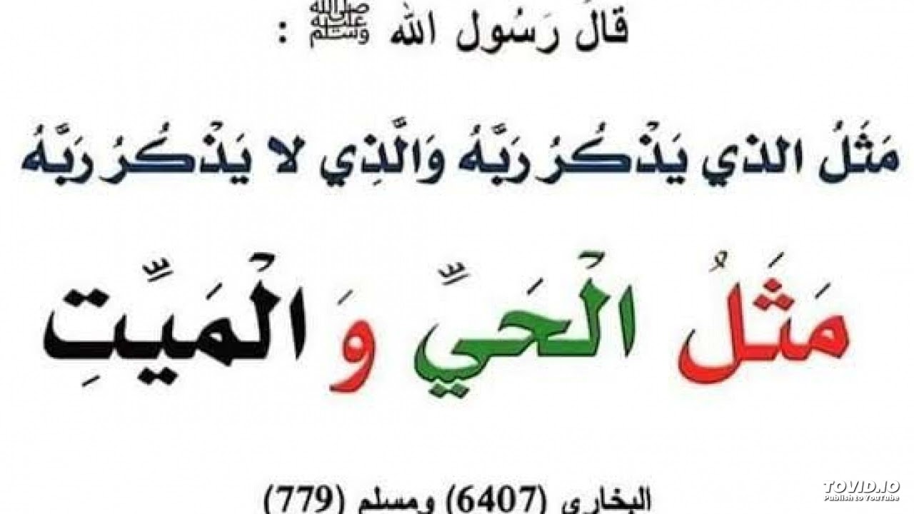 خطبة جمعة: الذكر وأثره في حياة المسلم، 16 جمادى الأولى 1447ه‍، سفيان بن بلقاسم مجاري.
