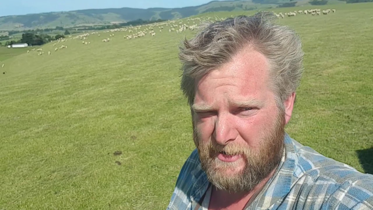Weaning 2020, part 1.
