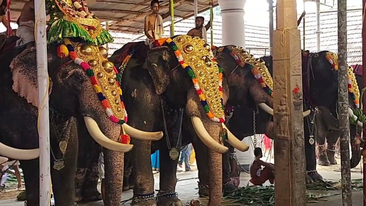 Vaikom Shaji & team Double Nadaswaram triple thavil @ Vaikkathashtami 2022