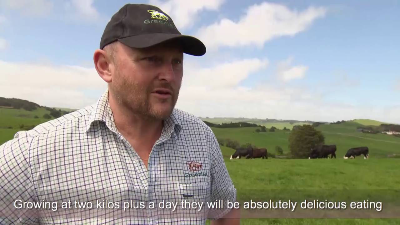 Best Of NZ With Nick Honeyman: Greenlea Premier Meats