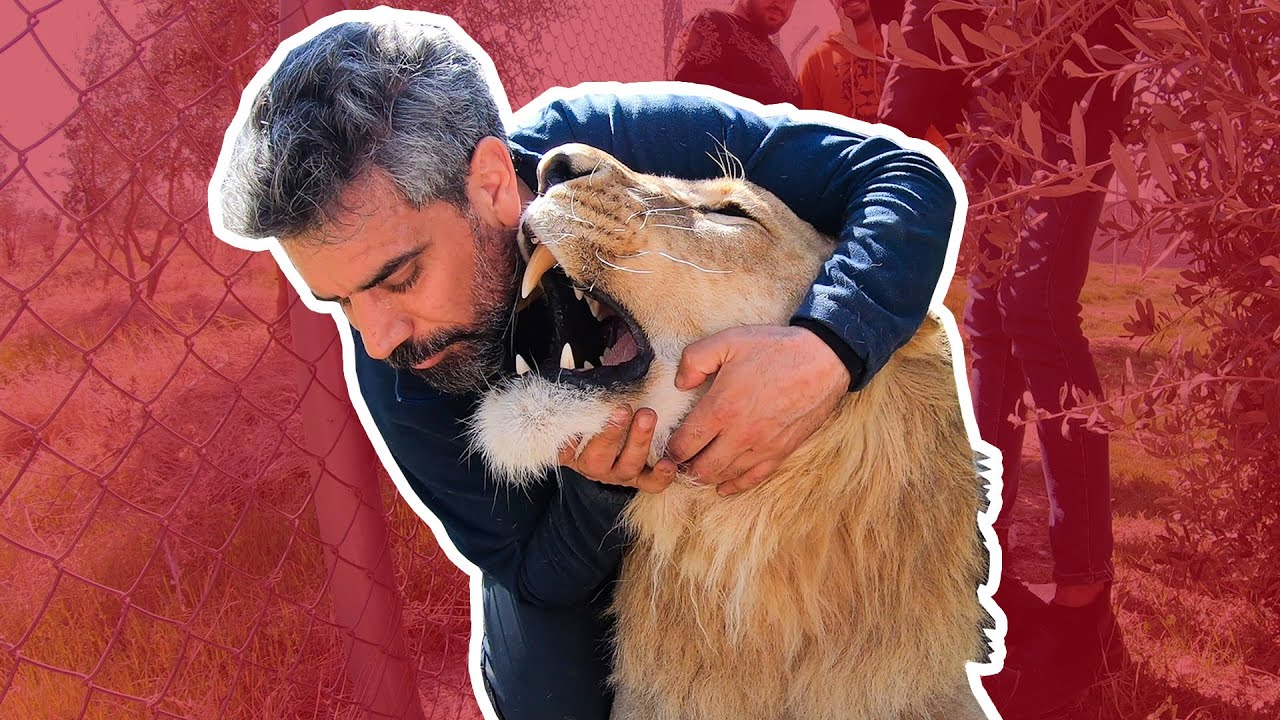 Visiting three lions (مه‌ سه‌ره‌دانا سێ شێران کر) #VLOG-63