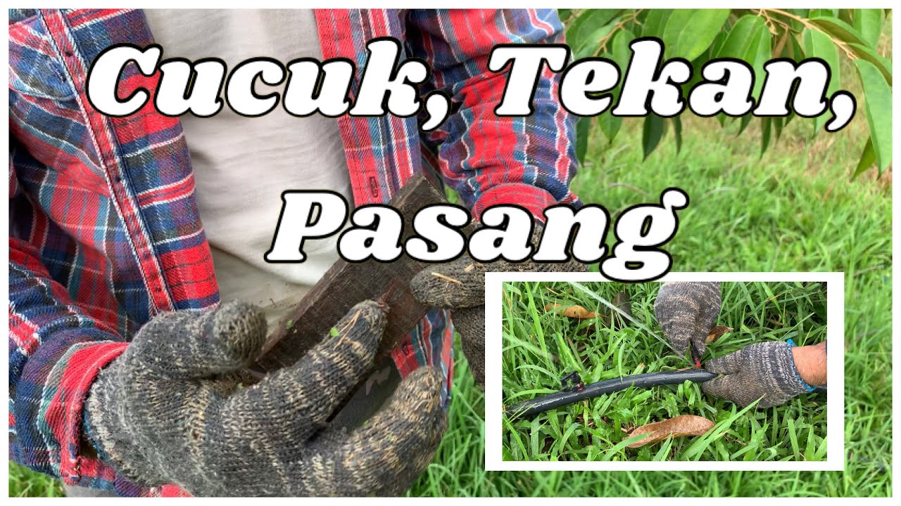 Tambah Baik Sistem Pengairan Dengan Micro Sprinkler - Cucuk, Tekan & Pasang