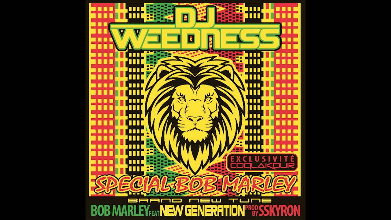 New Génération & Bob Marley remix dub step by SSkyron ( EXCLU COQLAKOUR )