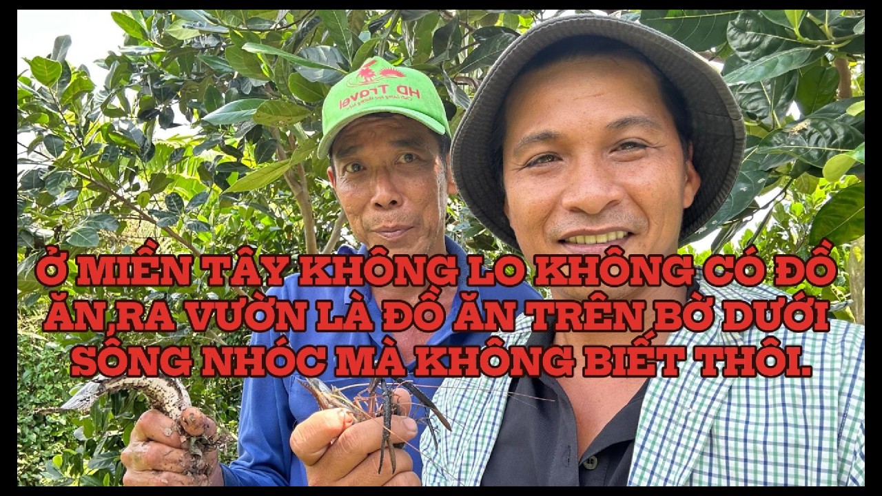 Trái dâu giây ngày xưa có giá nay đã bị thất sũng hay sao,mà giá không còn#lamvanthua official#