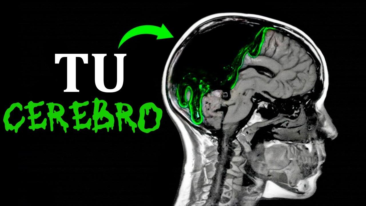 🧠 TU CEREBRO SE ESTÁ PUDRIENDO | Biología Desde Cero