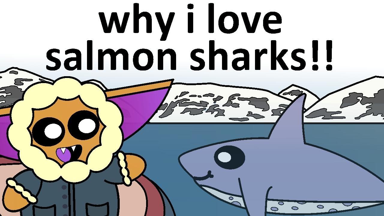 Napkin Talk: Why I love Salmon Sharks!