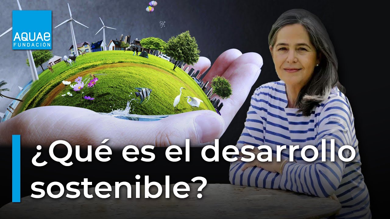 ¿Qué es el DESARROLLO SOSTENIBLE? | Lecciones sobre GLOBALIZACIÓN