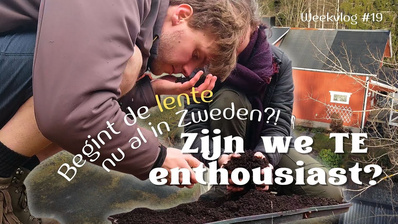 Zaaigrond in de oven & DESEMBROOD IN DE VEDSPIS - #19