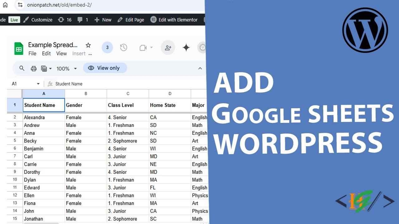 How to Embed Google Sheets via Shortcode in WordPress | Spreadsheets