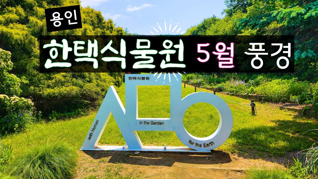용인가볼만한곳 한택식물원 25년 5월말 풍경