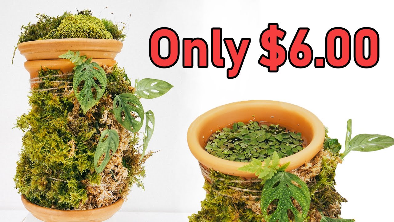 A Terraplanter Alternative ( MUCH CHEAPER )