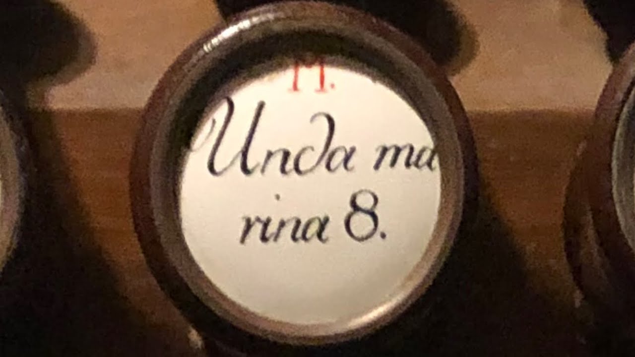 Unda marina 8&rsquo; (Unda maris 8&rsquo;) | pipe organ stop