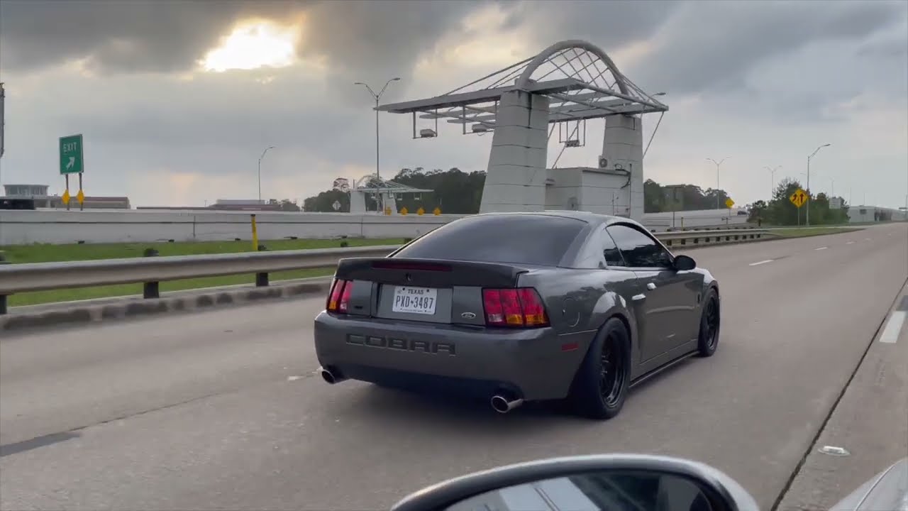 BORLA STINGERS !!(LOUD)!! NO CATS | REVS + ROLLERS Terminator Cobra