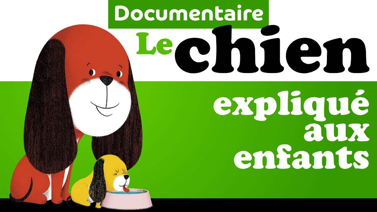 CHIEN CHIENNE CHIOT documentaire animalier pour maternelle