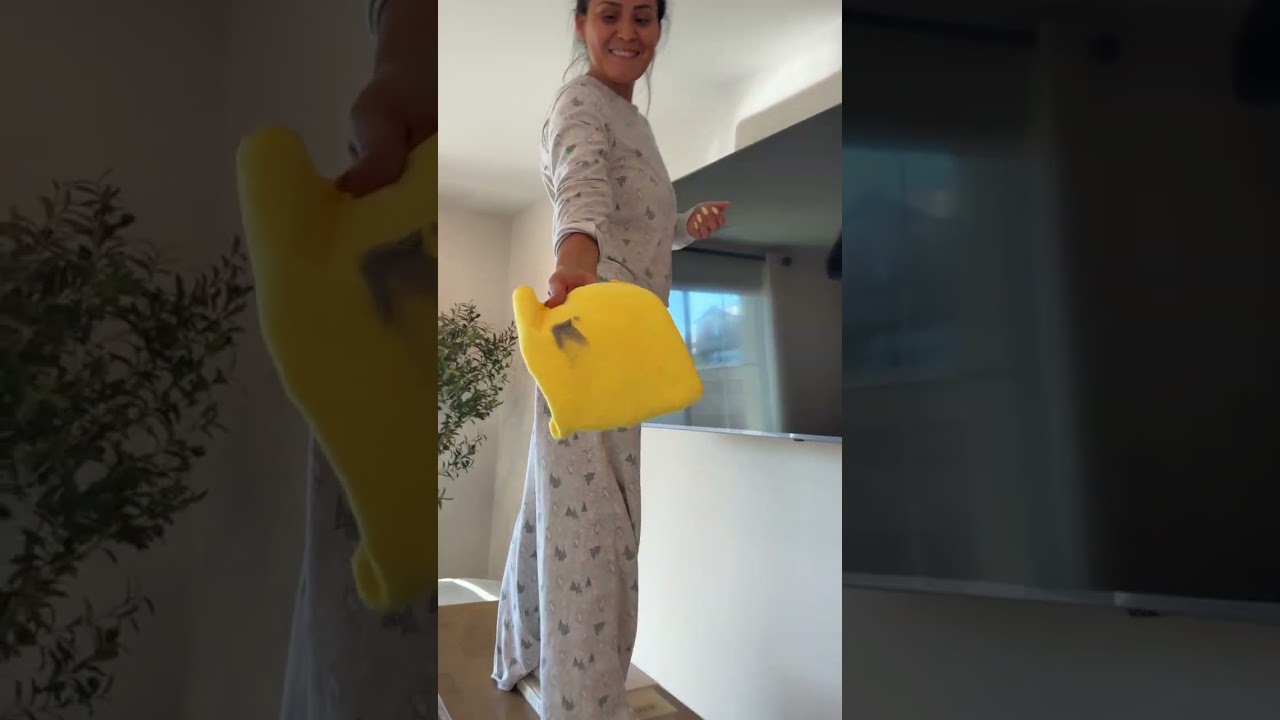 Quien vino a limpiar mi casa?