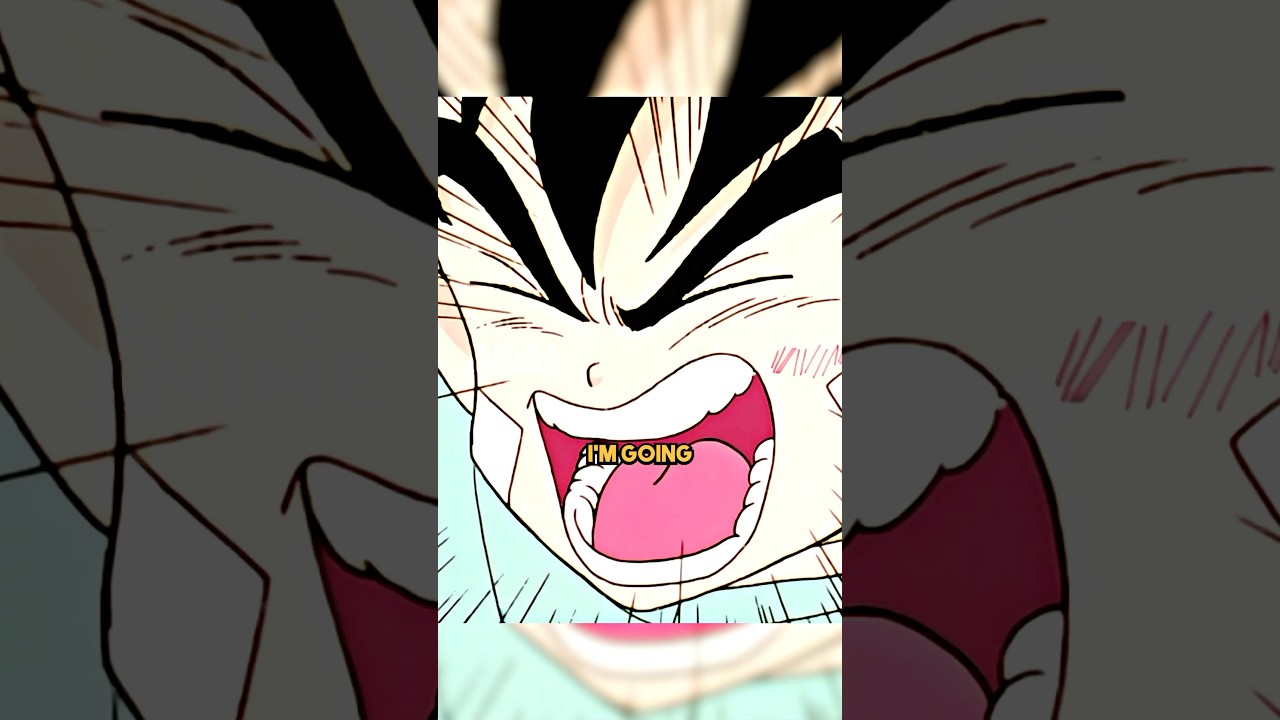 Gohan Shouts At Chi-Chi!