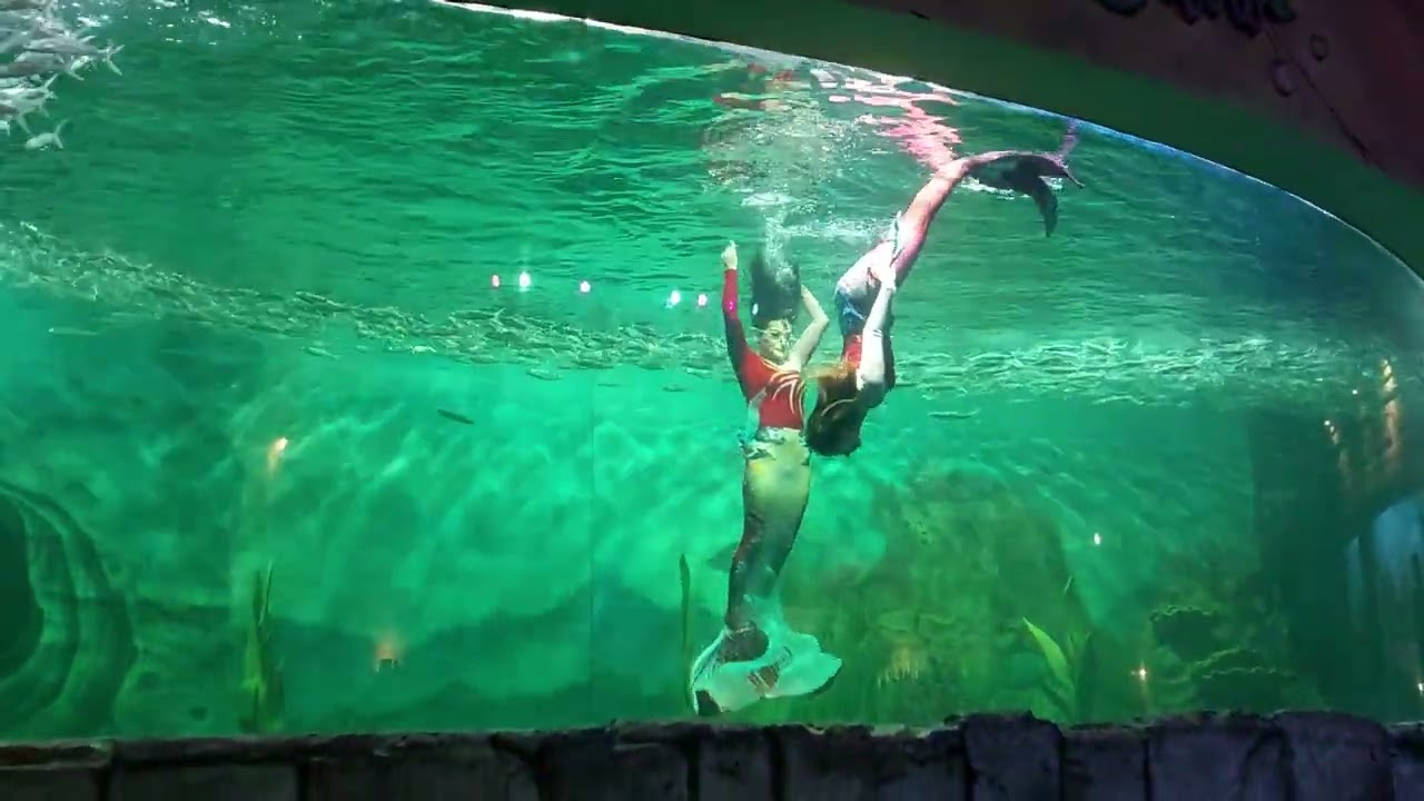 Mermaid di Ancol