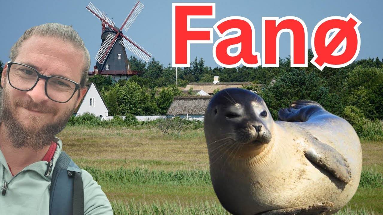 Fanø - Seals and Bunkers