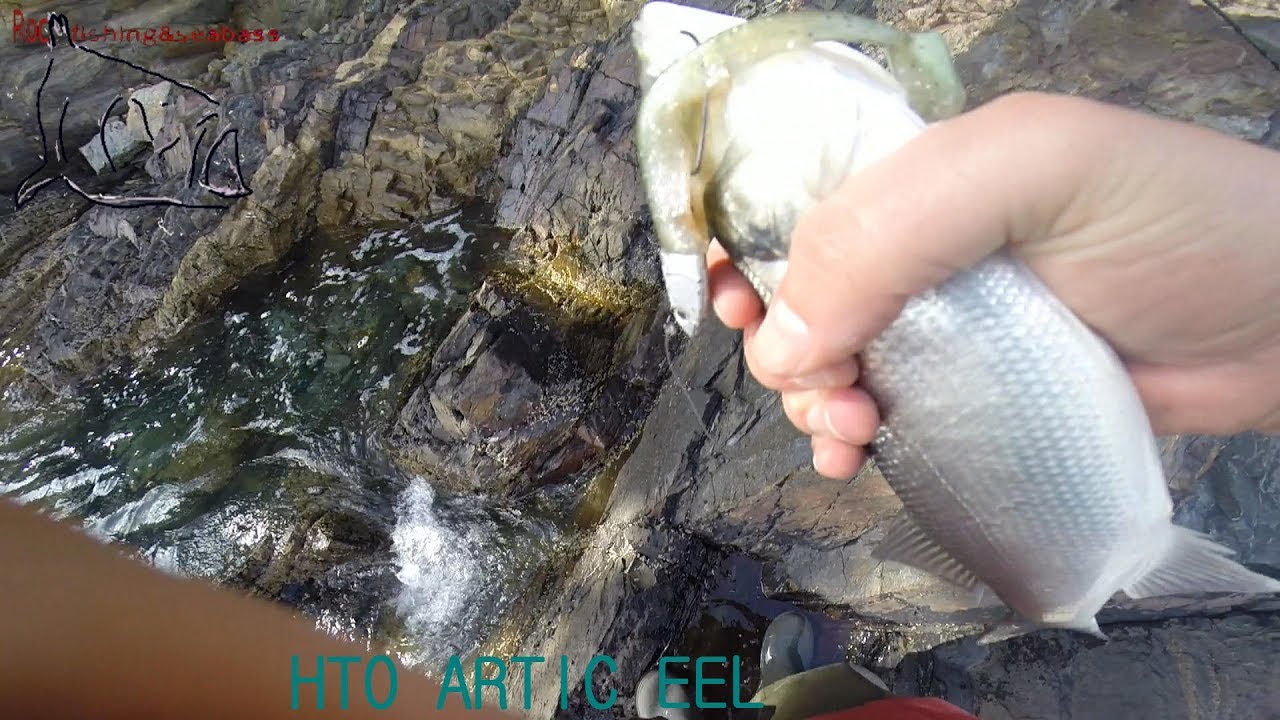 DE LA PESCA A SUPERFICIE A RASCAR LOS FONDOS.HTO ARTIC EEL