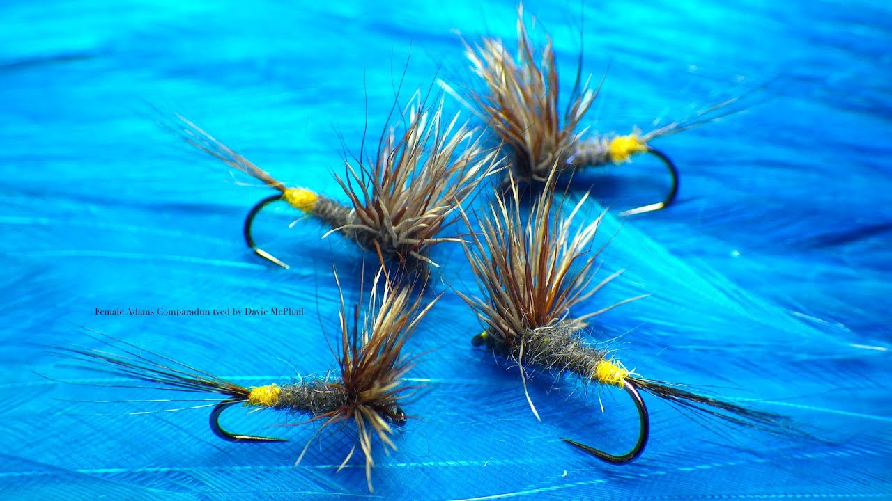 Tying a Female Adams Comparadun with Davie McPhail