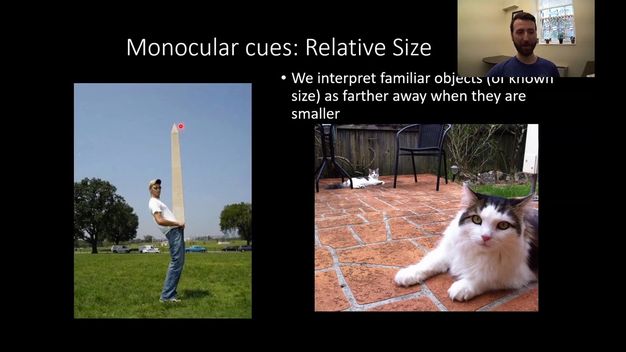 PSY111 CH3PT9: Sensation and Perception: Depth Perception