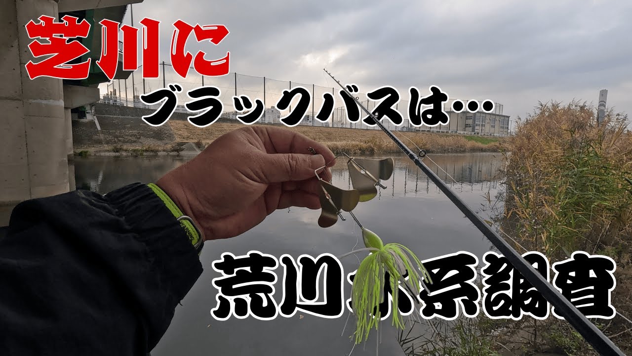 【荒川水系調査】芝川にブラックバスはいるのか… #willitbite #バス釣り
