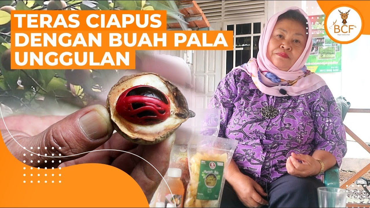 Teras Ciapus #3 | Buah Pala Unggulan dari Bogor
