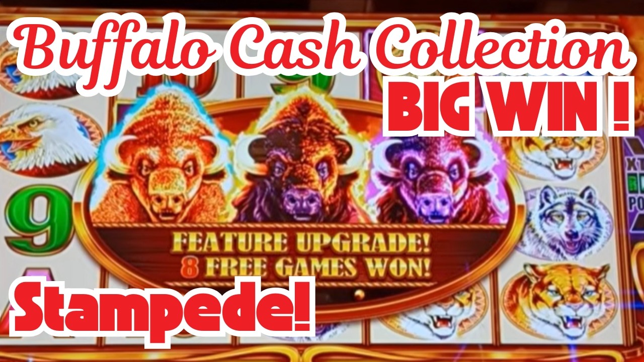 Крупный выигрыш в бонусе Buffalo Cash Collection со стампидом!