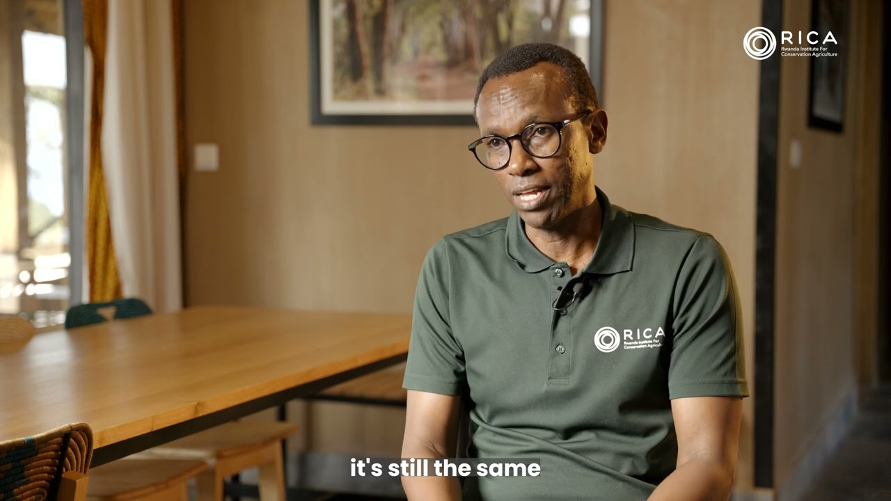 Agriculture: The Backbone of Rwanda's Economy