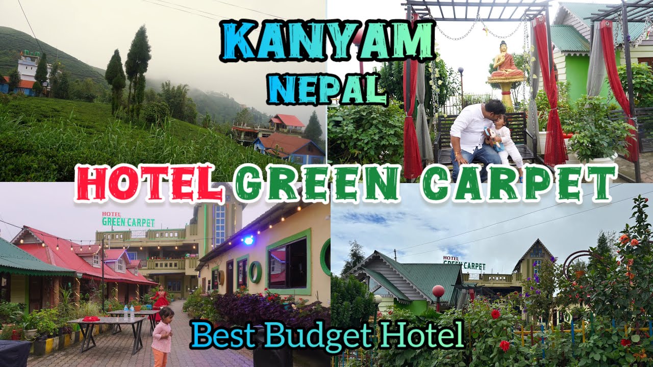 Reasonable Hotel In Kanyam, Nepal | Hotel Green Carpet | Best Budget Hotel In Nepal | Illam | Kanyam