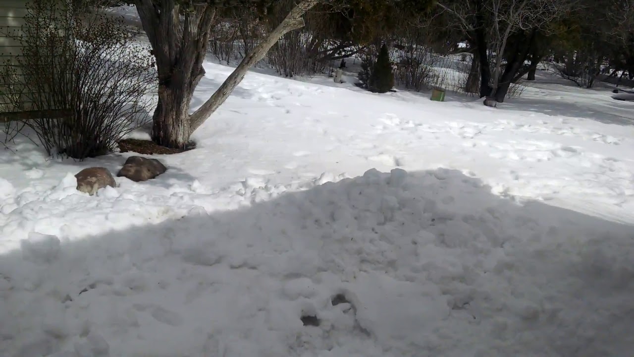 Slippery slush