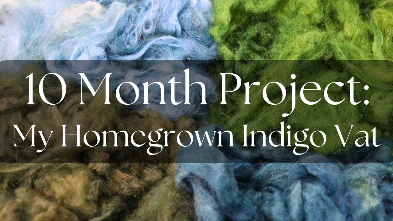 From Seed to Vat: Making Organic Indigo Dye with Homegrown Pigment