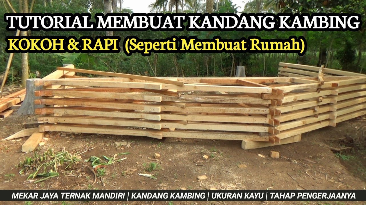 CARA MEMBUAT KANDANG KAMBING | Tahap awal
