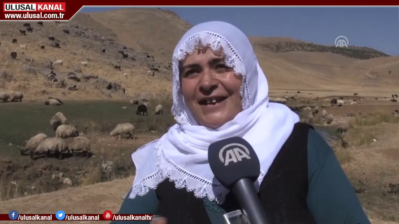 Bitlis'in 