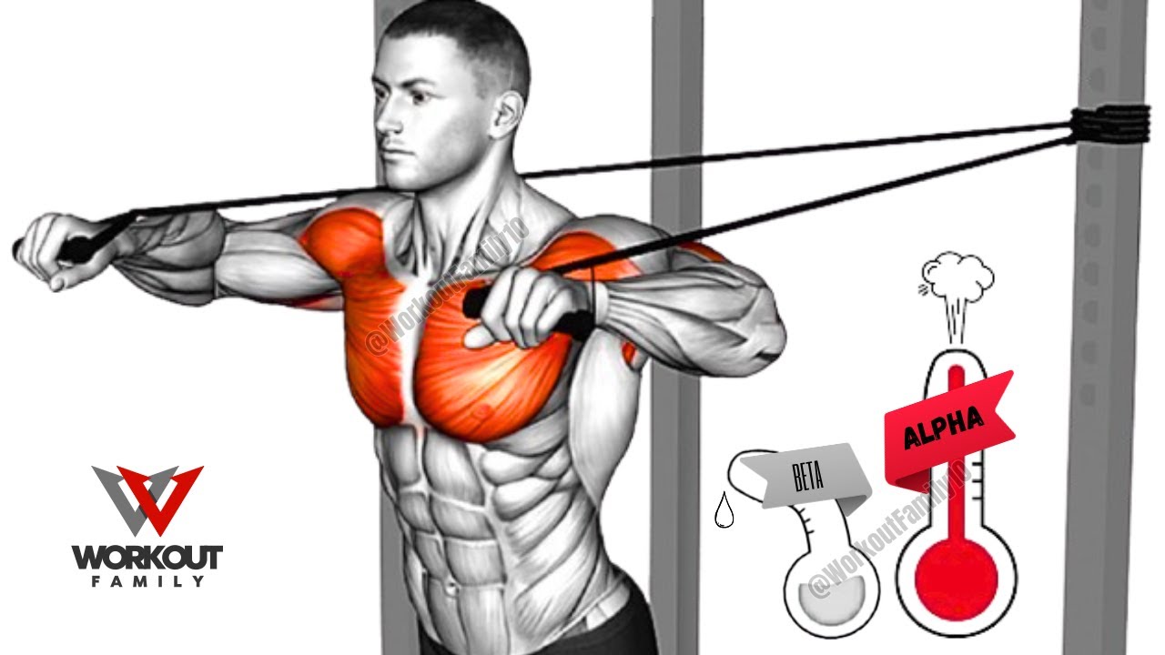 10 Best (Resistance Band) Exercises to Boost Testosterone | Workout for Men's Growth