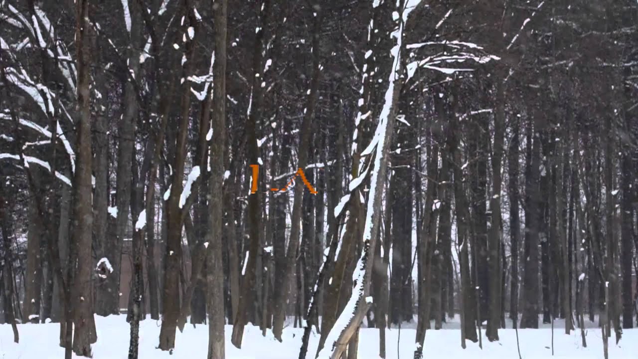 Allen / Lande - Lady of Winter Lyric Video (Official / New Studio Album / 2014)
