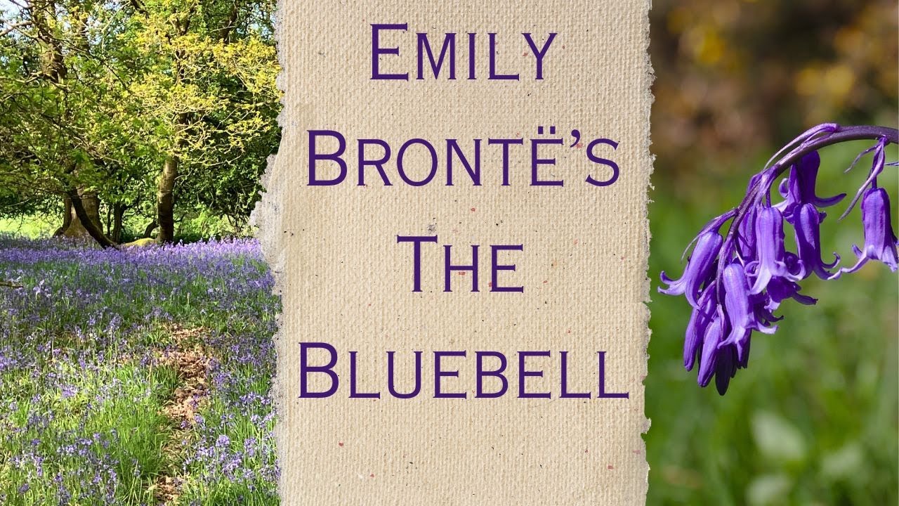 Emily Bront&euml;&rsquo;s The Bluebell - Poetry, walking & sunshine