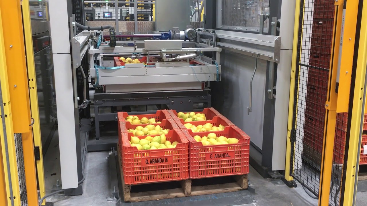 Sienz Paletizador multiformato estándar   Standard multiformat palletizer