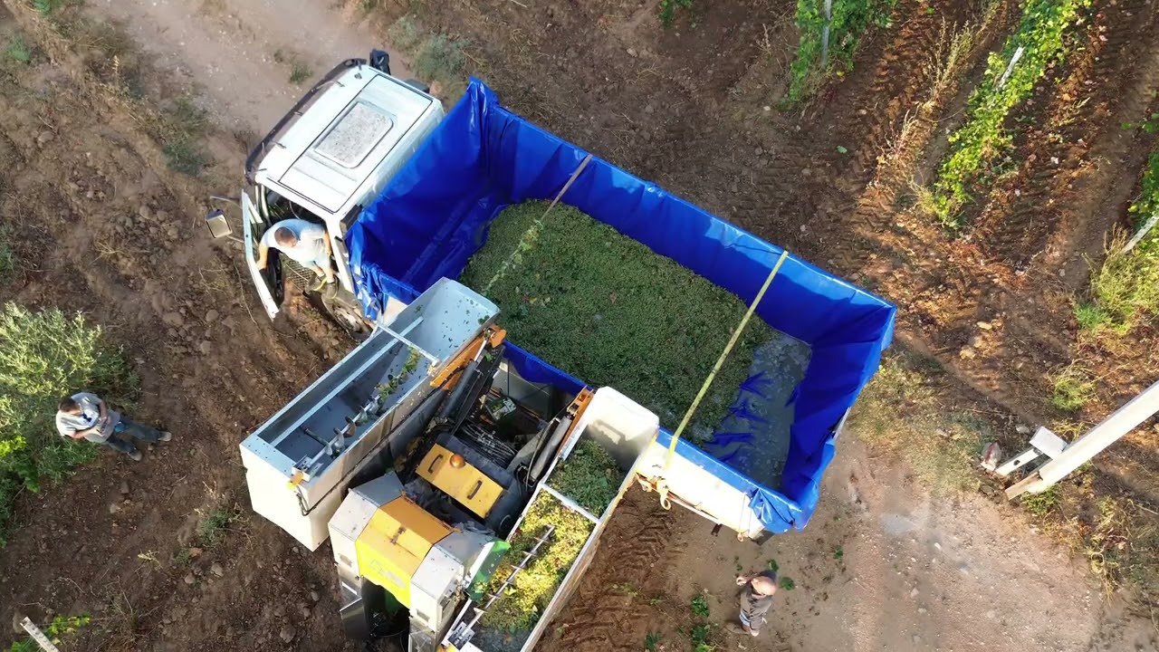 Azienda Agricola Pinna
