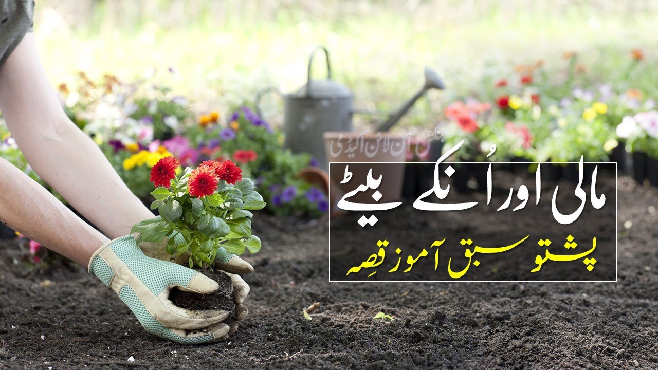 249 - Pashto Translation into Urdu | Pashto Gardening | Gardner and His Sons | Pashto Short Stories