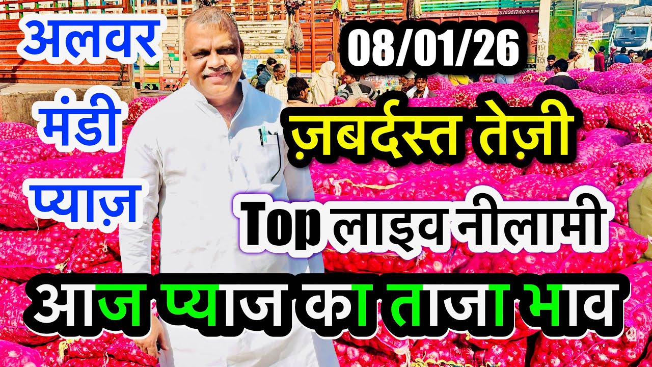 अलवर प्याज़ मंडी भाव आज का, Alwar Pyaj Mandi Bhav Today Onion Aaj Ka Rate Live Pappu Pradhan #viral 