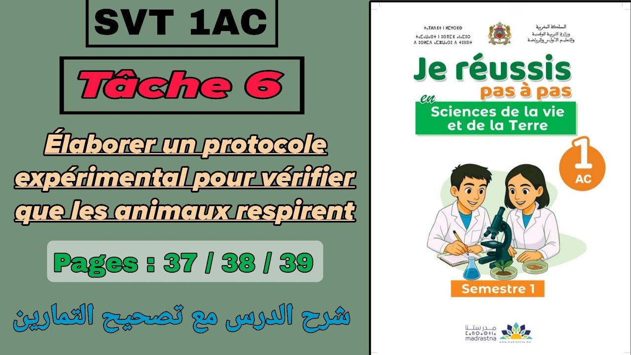 SVT 1AC | &Eacute;laborer un protocole exp&eacute;rimental pour v&eacute;rifier que les animaux respirent | T&acirc;che 6