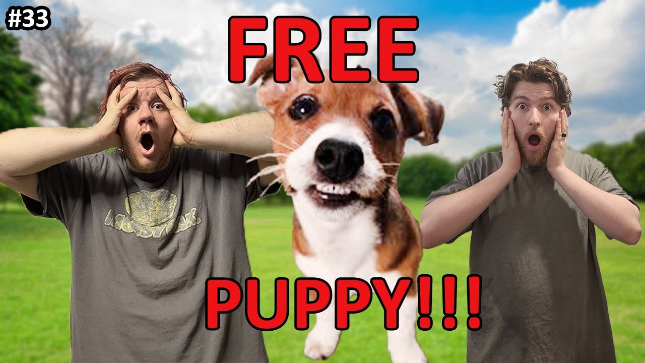 CLICK THIS FOR A FREE PUPPY!! | Simply Overthinking Podcast (Ep.33)