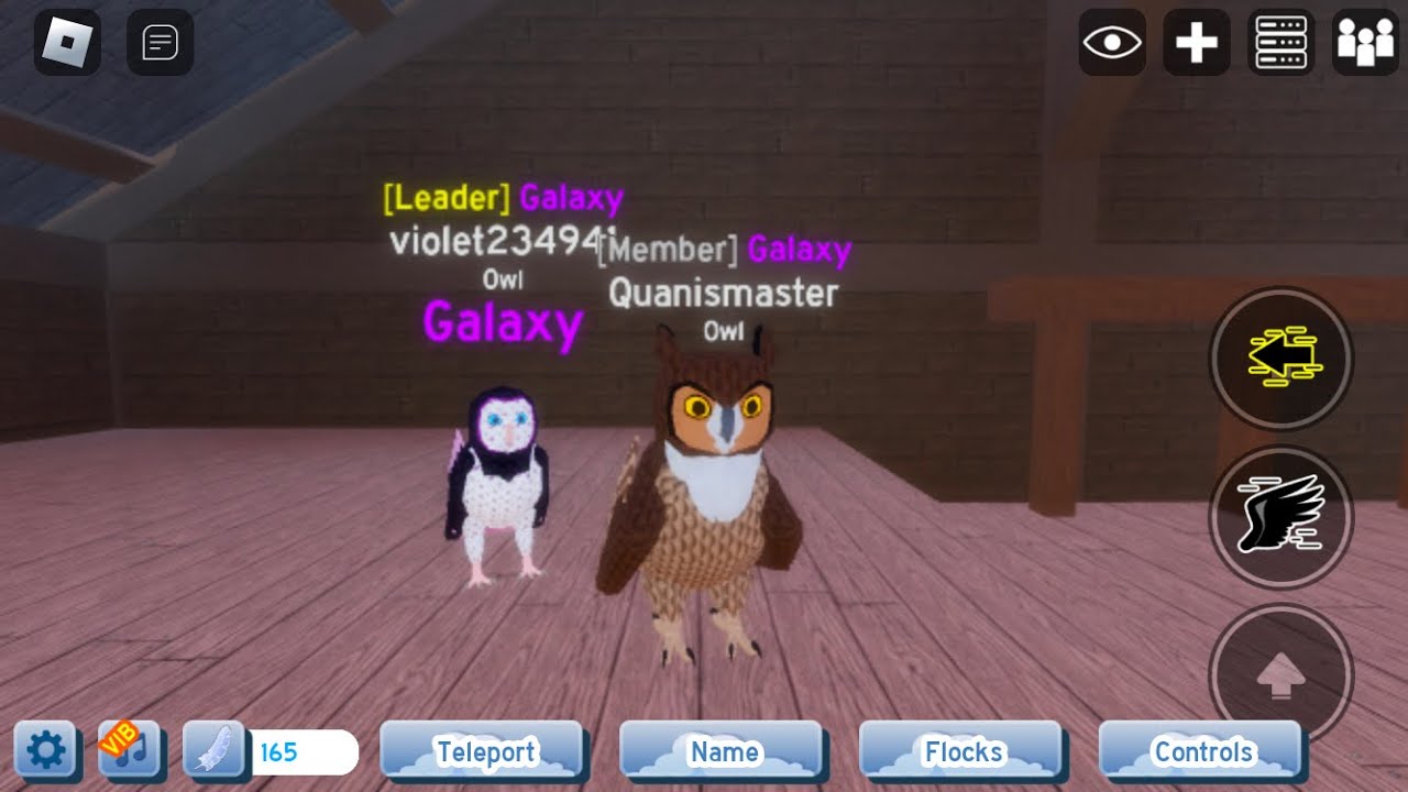 How to get feathers fast in feather family