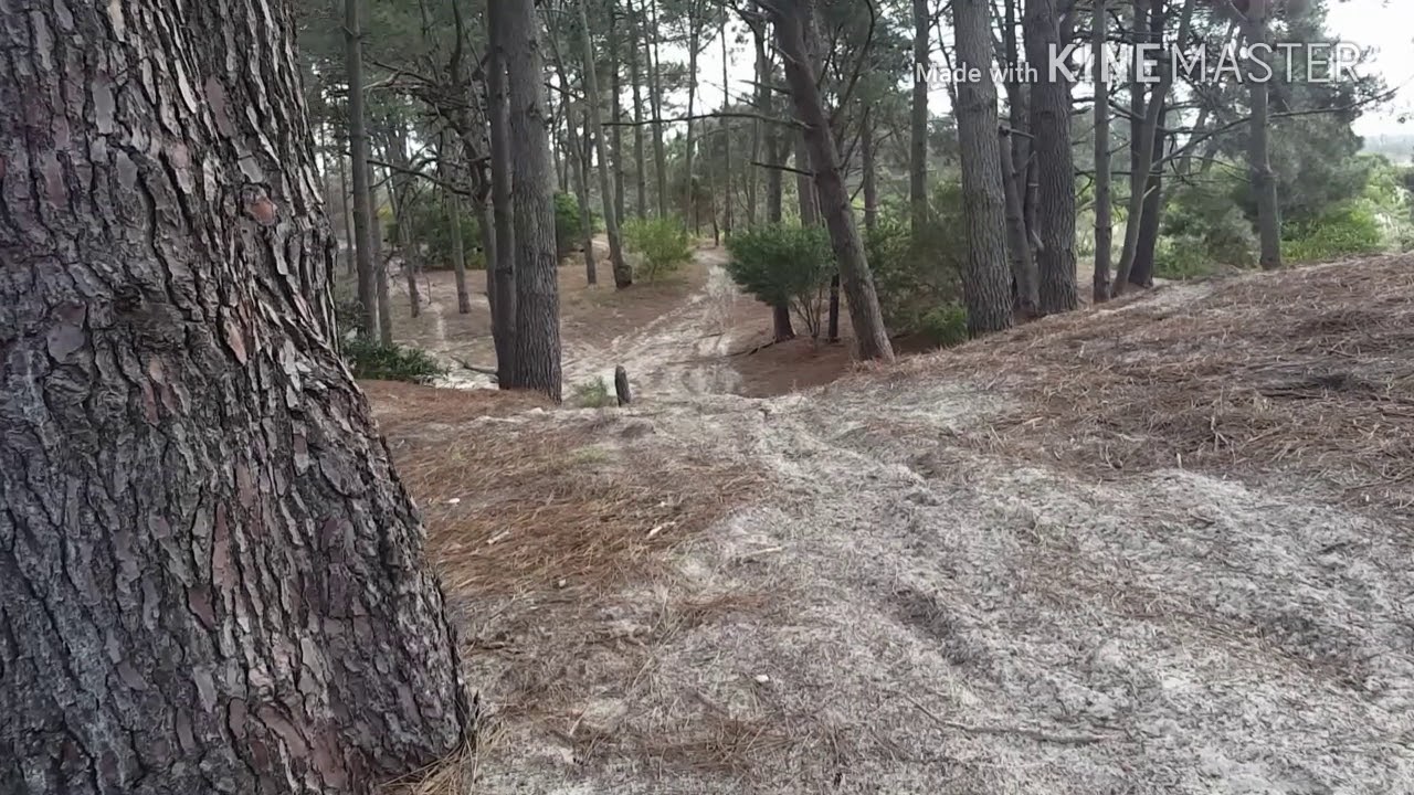 Vídeo para caminadora