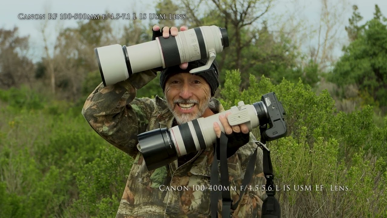 Comparing Canon's RF 100-500mm f/4.5-7.1 L IS USM and EF 100-400mm f/4.5-5.6L USM IS Lens on the R7