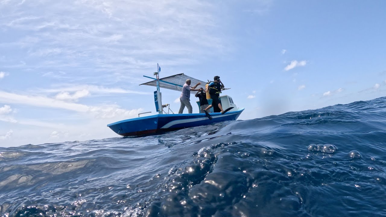 Return to the Blue – A Decade Later | Scuba Diving in Maldives