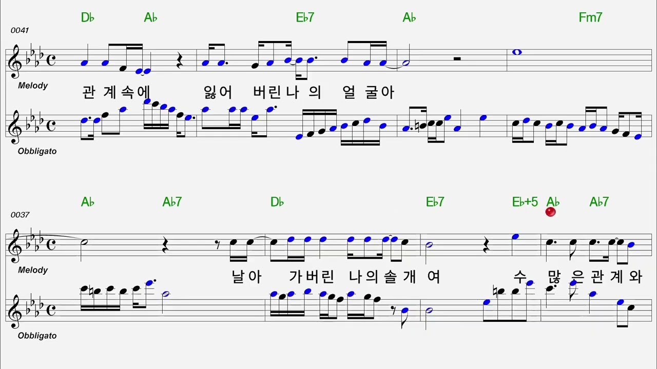 솔 개  정악대금